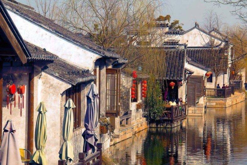 胖小猫救援